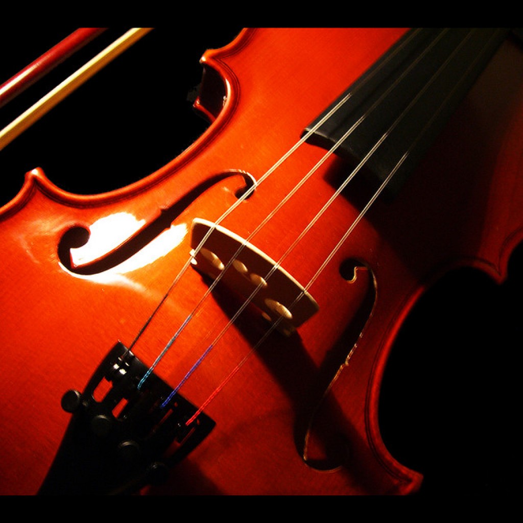 Best Violins & Brands Reviewed and Rated in 2020 Violinio